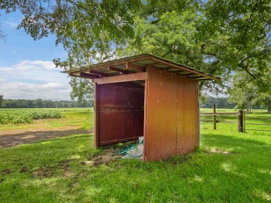 1361 Concord Bainbridge Rd, Havana, FL 32333 - photo 6