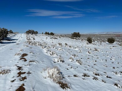IMG_2735_(2)
