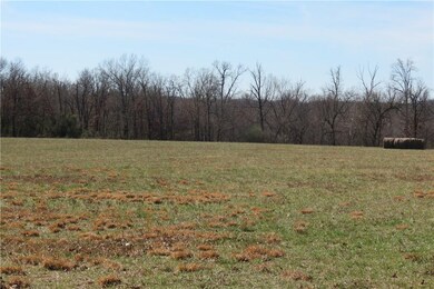 14327 Taylor Rd unit Tract 2, Springdale, AR 72762 - photo 3