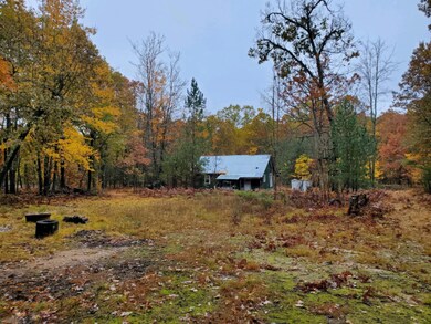 2323 W 17 Mile Rd, Bitely, MI 49309 - photo 2