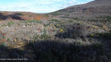 0 High Peak Lot 111-112, Windham, NY 12496 - photo 7