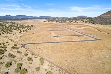 12907 Blazing Ore Trail, Flagstaff, AZ 86004 - photo 7