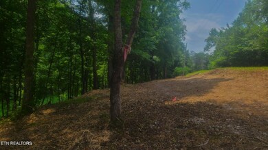 Claiborne Rd Lot 117A recently cleared,