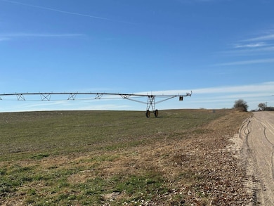 355 8th Ave, Palmer, NE 68864 - photo 3