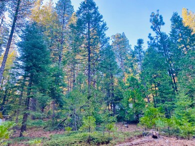 1557 Lily Valley Cir, West Point, CA 95255 - photo 4