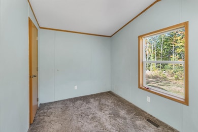 51 Willow Ave, Center Tuftonboro, NH 03816 - photo 3