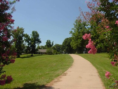 14120 State Highway 64 E, Tyler, TX 75707 - photo 3