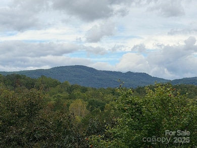 0 Antioch Rd unit CAR4315702, Lake Lure, NC 28746 - photo 5