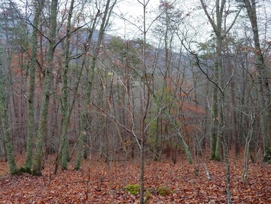 1202191455_HDR