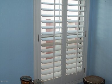 SHUTTERS THROUGHT