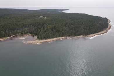 0 Butler Rd unit 1617632, Frenchboro, ME 04685 - photo 6