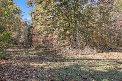 0 Batson Mill Rd unit 21819573, Charlotte, TN 37036 - photo 5