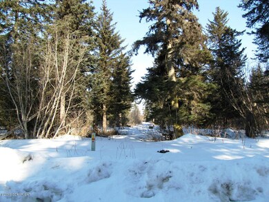 L8 B1 Laduquesa Ln, Anchor Point, AK 99556 - photo 7