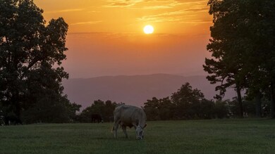 0 Tbd Hwy 74e, Mount Judea, AR 72655 - photo 7
