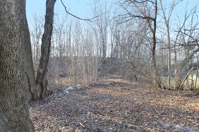 219 Union St, Franklin, MA 02038 - photo 6