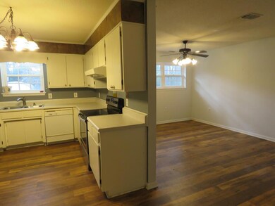 Kitchen and den