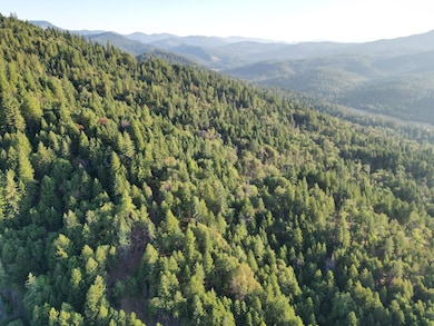 0 E Evans Creek Rd unit 220208811, Central Point, OR 97502 - photo 2