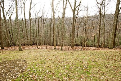 Plenty of yard for play areas, gardening, etc.  Ve