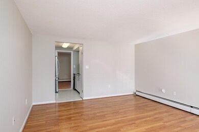 Living room to kitchen and bedroom