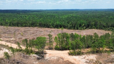 + - 9 7acres unit Attala County MS, Kosciusko, MS 39067 - photo 6