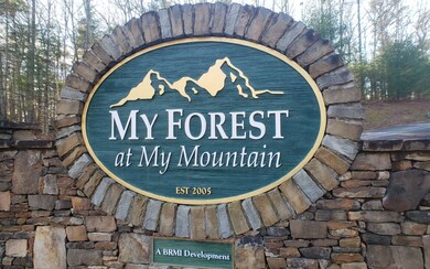 LT 15 My Forest at My Mountain, Morganton, GA 30560 - photo 2