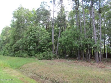 Left of Lot