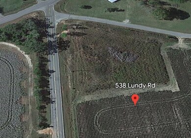 536 Lundy Rd, Sylvester, GA 31791 - photo 2