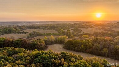000 Country Farm Rd, Lyon Township, MO 63013 - photo 5