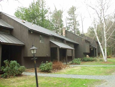 1299 Quechee Main St unit 1C, Hartford, VT 05001 - photo 2