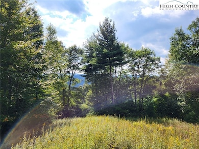 TBD Parkway Pointe Dr, West Jefferson, NC 28694 - photo 2