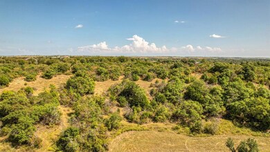 TBD 1/2 Murray Rd, Springtown, TX 76082 - photo 6