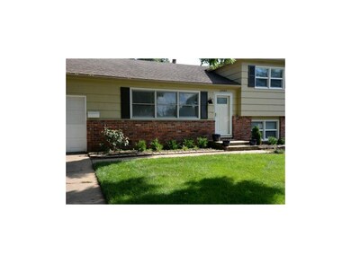 new landscaping