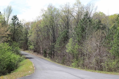 0 Autumnwood unit 16730447, Summerville, GA 30747 - photo 3