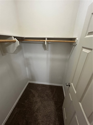 Spacious closet featuring carpet flooring
