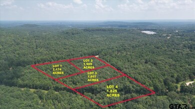 TBD Lot 2 Cactus Rd, Pittsburg, TX 75686 - photo 4