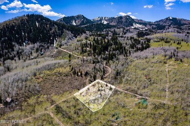 2460 West Spruce Road Midway UT 84049 US