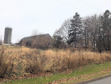 W4975 Birch Rd, Juneau, WI 53039 - photo 5