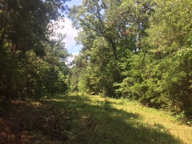 ... Wardlaw Rd, McComb, MS 39648 - photo 3