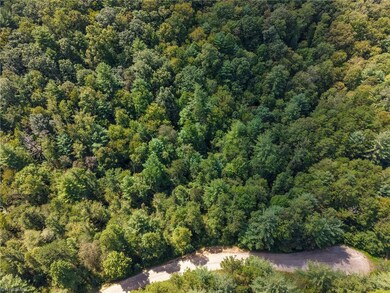 000 Antler Dr, McGrady, NC 28649 - photo 4