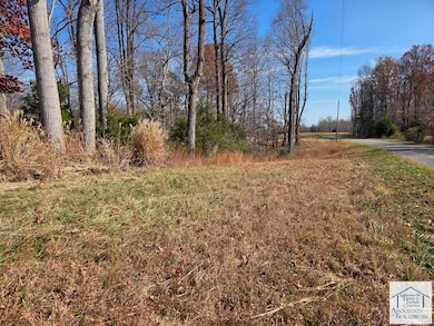 00 Mount Vernon Rd, Axton, VA 24054 - photo 5