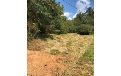 0 Chatsworth Hwy unit 282039, Ellijay, GA 30540 - photo 2