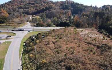 Additional View