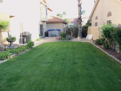 grass area in backyard