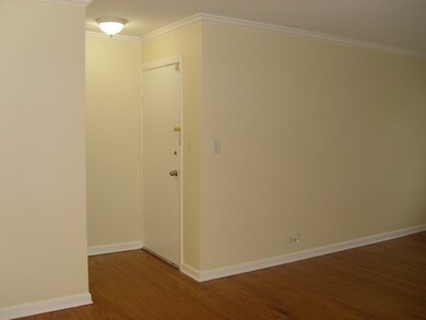 7209 Division St unit A1, River Forest, IL 60305 - photo 6