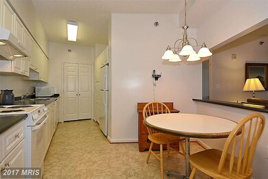3005 Leisure World Blvd S unit 605, Silver Spring, MD 20906 - photo 6