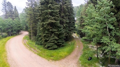 11173 S Barney Gulch Rd, Conifer, CO 80433 - photo 4