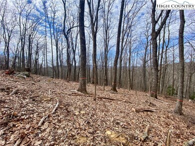 TBD Old Chestnut Mountain Rd, Newland, NC 28657 - photo 7
