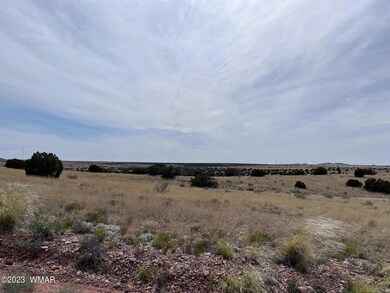 0 Poplar St, Snowflake, AZ 85937 - photo 5