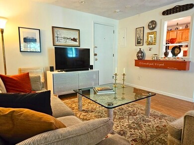 Spy Pond Condominiums unit 308, Arlington, MA 02474 - photo 2