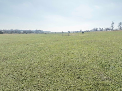 33 Ac U S 160, Greenfield, MO 65661 - photo 3